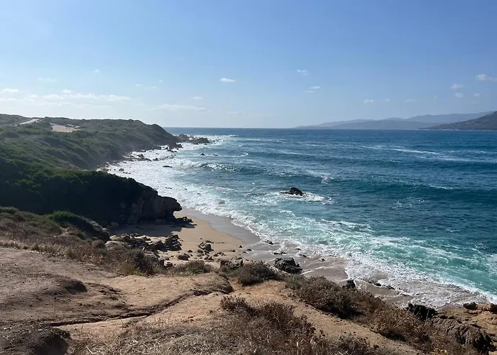 2 Pieces 46m2 Avec Terrasse Et Balcon Daire