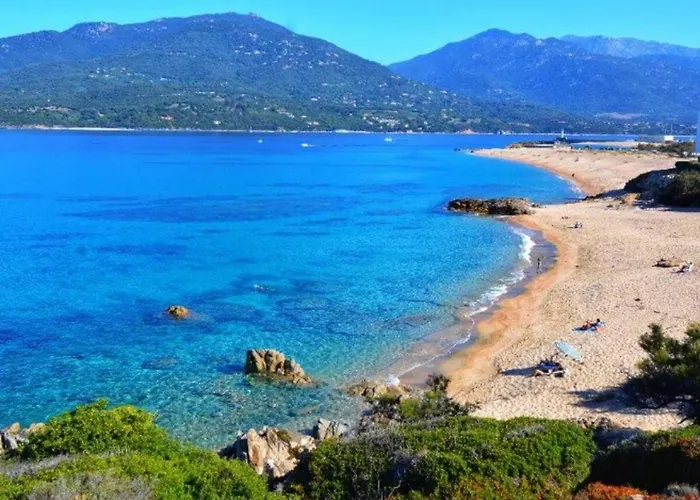 Apartment 2 Pieces 46m2 Avec Terrasse Et Balcon Propriano (Corsica)